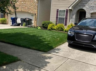 Tyiska W.'s lawn maintenance service result