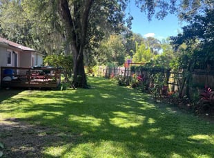 Jan R.'s lawn service service result