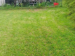 Curtis D.'s lawn care services service result