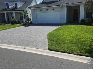 Sylvia A.'s grass maintenance service result