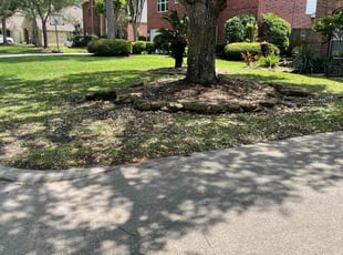 Chris P.'s turf care service result