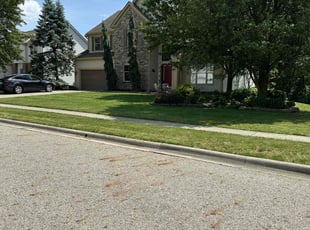 Misha P.'s turf maintenance service result