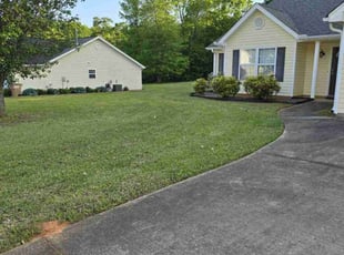 Tamara G.'s turf maintenance service result