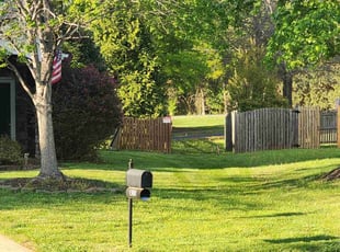 Dana Z.'s grass cutting service result