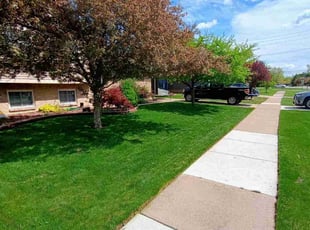 Karinna F.'s grass maintenance service result