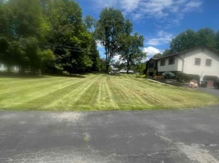 Joan O.'s turf maintenance service result