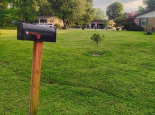 Victoria M.'s lawn maintenance service result