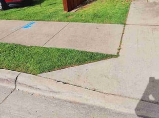 Virgil A.'s lawn care services service result