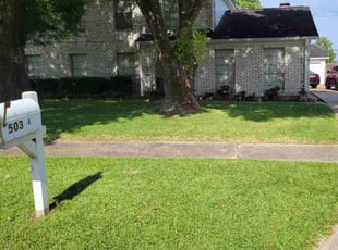 Stephen S.'s turf care service result