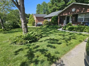 Roseann C.'s grass maintenance service result
