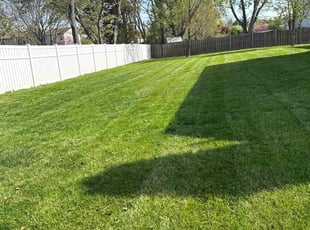 Madelyn B.'s lawn care services service result