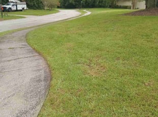 Carrie M.'s lawn service service result