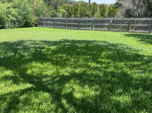 Brett T.'s turf care service result