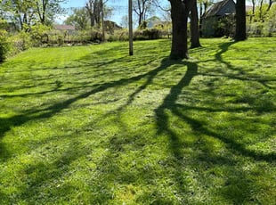 James R.'s turf care service result