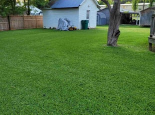 James B.'s grass cutting service result