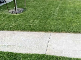 Heather F.'s lawn care services service result