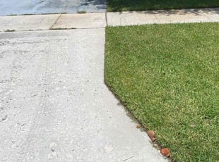 Tammy D.'s lawn care service result