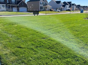 Margaret T.'s lawn maintenance service result