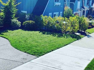 Takashi M.'s lawn care services service result