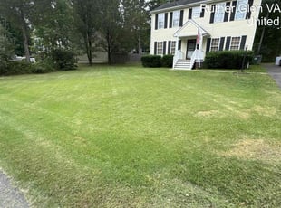 Delaney B.'s lawn care service result