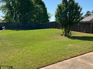 Mike C.'s grass maintenance service result