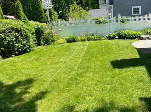 Melvin W.'s lawn maintenance service result