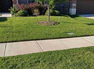 Lisha M.'s grass maintenance service result