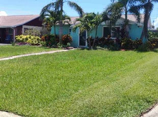 Trish M.'s turf care service result