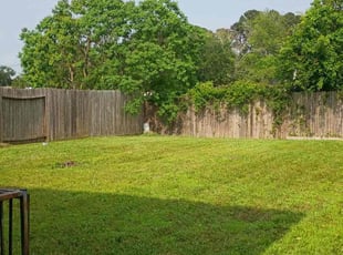 Alvin C.'s lawn maintenance service result