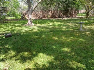 Majeedah M.'s turf care service result