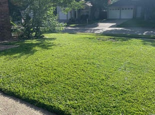 Tony S.'s grass cutting service result