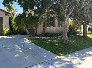 Robert L.'s grass cutting service result