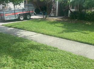 Robin M.'s grass maintenance service result