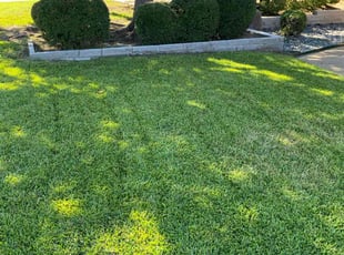 Edith L.'s lawn service service result