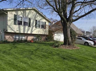 Pamela L.'s grass maintenance service result