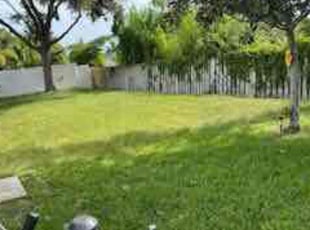 Tee D.'s turf care service result