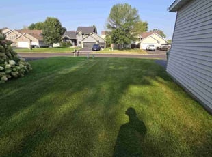 Rose S.'s grass maintenance service result
