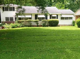 Lora H.'s lawn care services service result