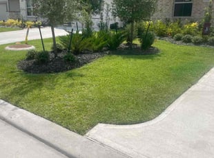 Julius W.'s yard maintenance service result