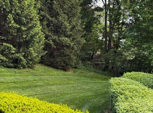 Kellie H.'s grass maintenance service result