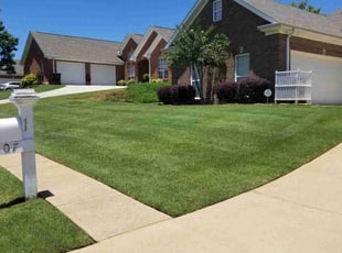 Zaire B.'s turf care service result