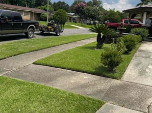 Shicaslyn G.'s grass cutting service result