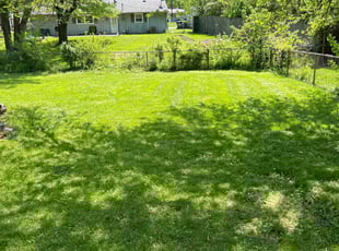 Ruth B.'s turf care service result