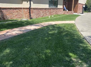 Patricia L.'s lawn service service result