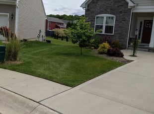 Susan K.'s lawn care service result