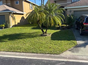 Joseph E.'s lawn care services service result