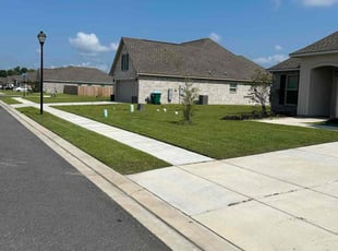 Tia C.'s lawn maintenance service result