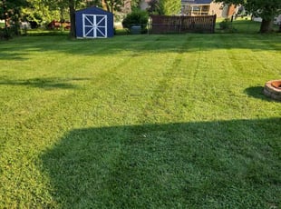 Kellie L.'s lawn service service result