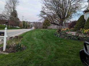 Steve C.'s landscape maintenance service result