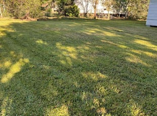 Darlene B.'s grass maintenance service result
